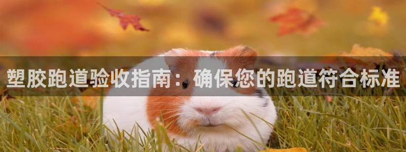 尊龙d88官网确来就送38：塑胶跑道验收指南：确保您