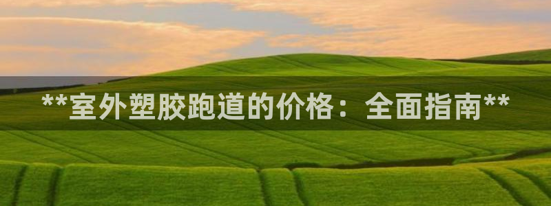 尊龙体育电竞官网：**室外塑胶跑道的价格：全面指南*