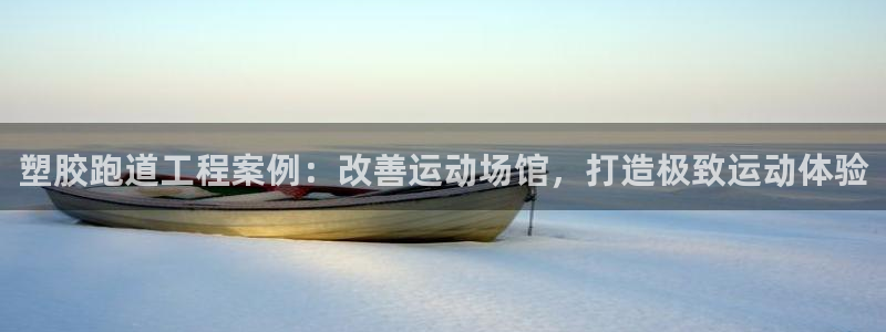 尊龙人生就是博首页：塑胶跑道工程案例：改善运动场馆，打造极致运动体验