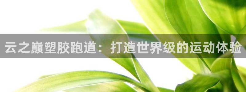 尊龙一生也走不出自己的童年：云之巅塑胶跑道：打造世界级的运动体验