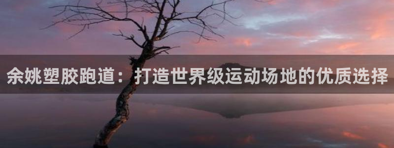 尊龙网站注册站注册：余姚塑胶跑道：打造世界级运动场地的优质选择