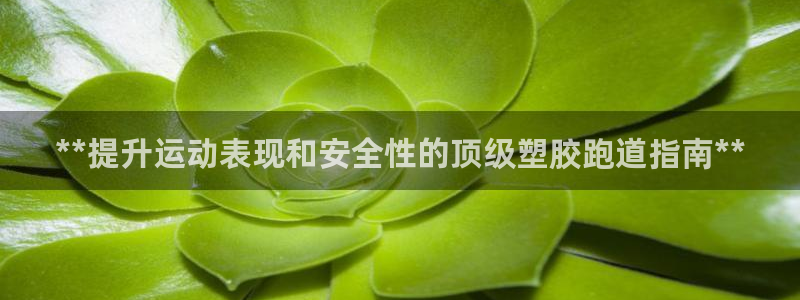 尊龙凯时人生就是博中国官网：**提升运动表现和安全性的顶级塑胶跑道指南**
