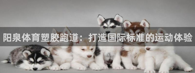 尊龙官网首页：阳泉体育塑胶跑道：打造国际标准的运动体验