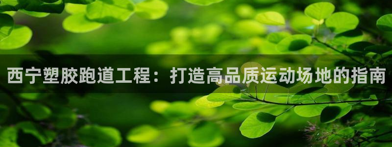 kb88凯时会员登录：西宁塑胶跑道工程：打造高品质运