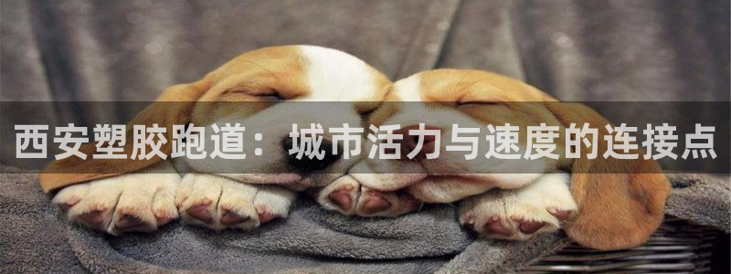 尊龙凯时城游戏官网