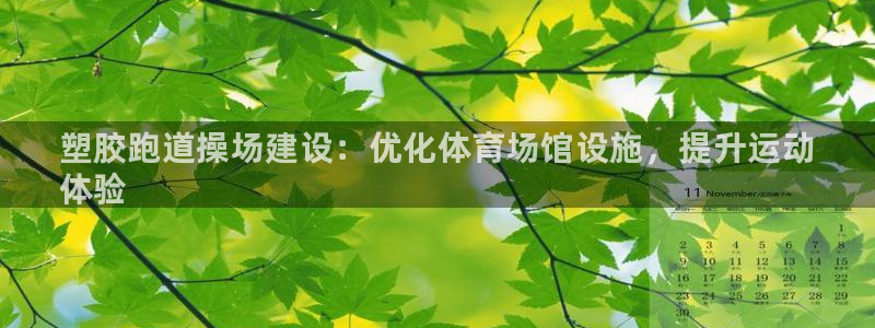 尊龙集团有限公司：塑胶跑道操场建设：优化体育场馆设施