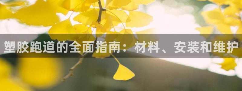 尊龙d88平台：塑胶跑道的全面指南：材料、安装和维护