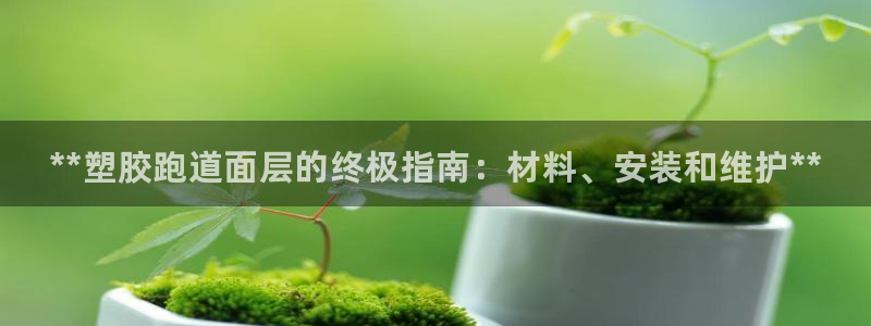 尊龙凯时有假么：**塑胶跑道面层的终极指南：材料、安装和维护**