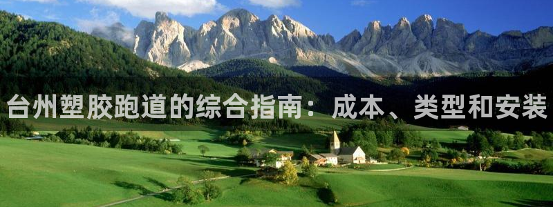 尊龙ag旗舰厅手机版：台州塑胶跑道的综合指南：成本、类型和安