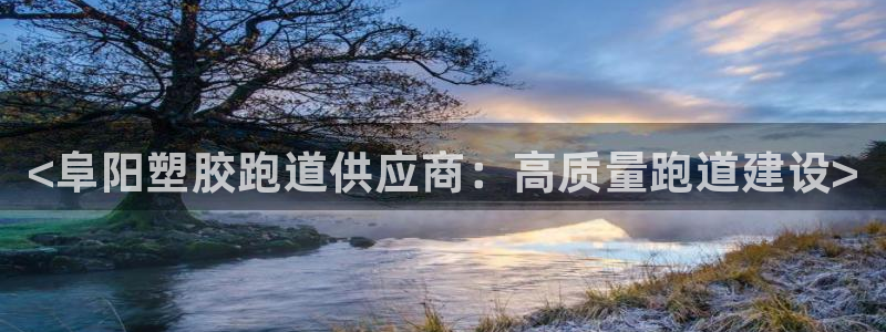 尊龙怎么没消息了：<阜阳塑胶跑道供应商：高质量跑道建设>