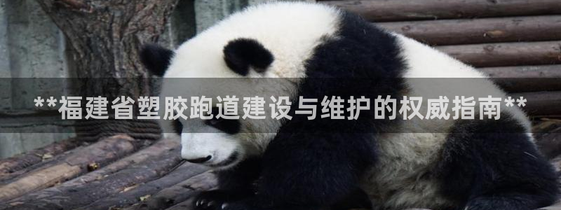 尊龙凯时法拉币：**福建省塑胶跑道建设与维护的权威指