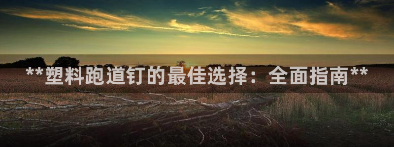 尊龙凯时几百万怎么下款：**塑料跑道钉的最佳选择：全面指南*