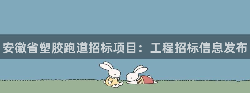 尊龙app注册官网：安徽省塑胶跑道招标项目：工程招标信息发布