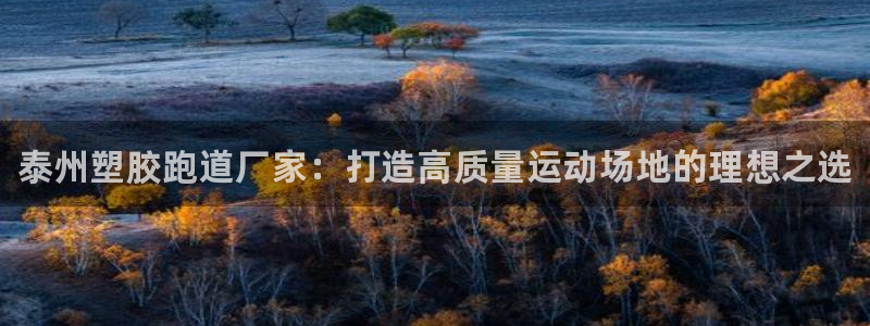 ag尊龙官方网站app：泰州塑胶跑道厂家：打造高质量运动场地