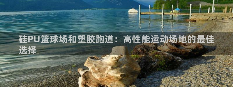 尊龙人生就是傅官网：硅PU篮球场和塑胶跑道：高性能运动场地的