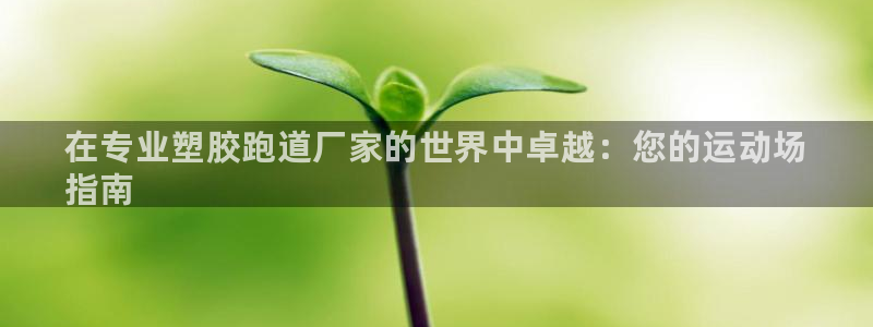 z6尊龙凯时集团：在专业塑胶跑道厂家的世界中卓越：您的运动场
指南