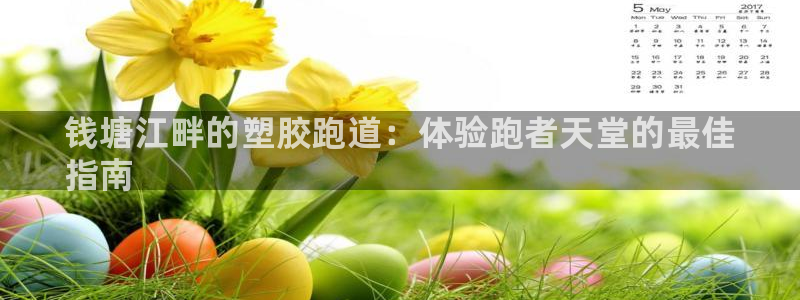 z6尊龙官网：钱塘江畔的塑胶跑道：体验跑者天堂的最佳