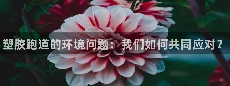 尊龙体育直接访问agbaofu.wang|ag暴富网