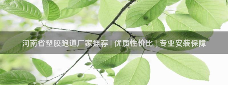 KB88凯时官网登录：河南省塑胶跑道厂家推荐 | 优