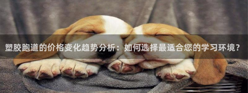 尊龙人生就是博D88：塑胶跑道的价格变化趋势分析：如