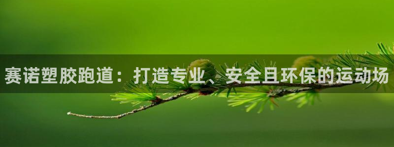 尊龙凯时 人生就是搏 平台：赛诺塑胶跑道：打造专业、安全且环保的运动场