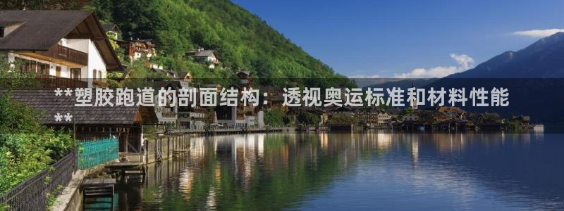 尊龙凯时俱乐部：**塑胶跑道的剖面结构：透视奥运标准和材料性能
**