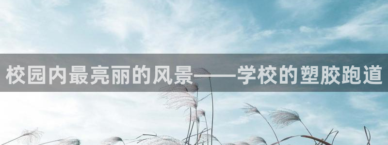 凯时官网联系方式