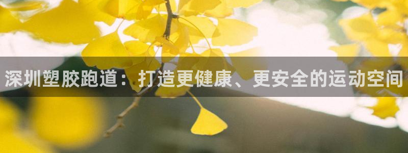 尊龙凯时app产品介绍：深圳塑胶跑道：打造更健康、更安全的运