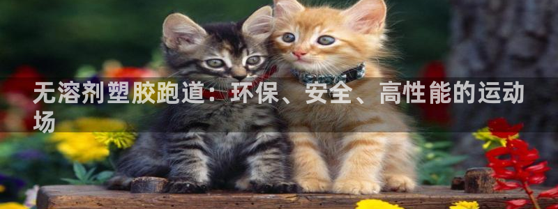 尊龙d88官网准认来就送38：无溶剂塑胶跑道：环保、安全、高