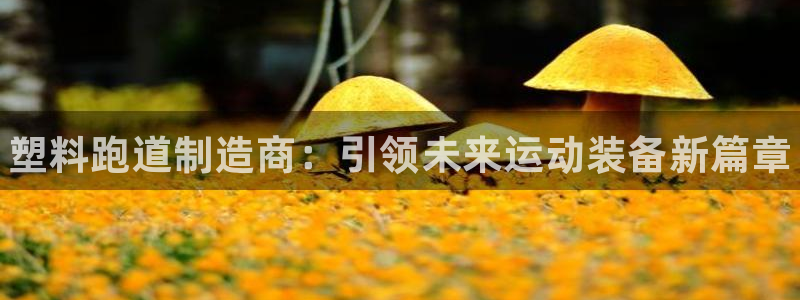 尊龙凯时登陆：塑料跑道制造商：引领未来运动装备新篇章