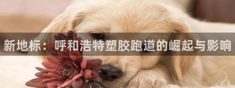 尊龙网站注册网：新地标：呼和浩特塑胶跑道的崛起与影响