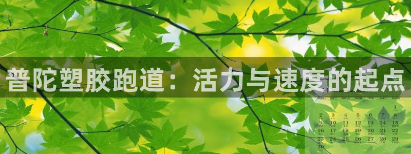 尊龙内地：普陀塑胶跑道：活力与速度的起点